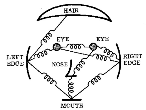 An abstraction of a human face with springs connecting each feature